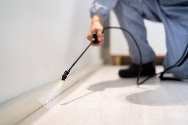 Rodent Entry Point Assessment in Teays Valley