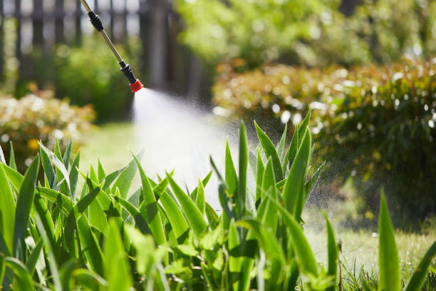 Tamper-Resistant Bait Stations for Rodents in Teays Valley