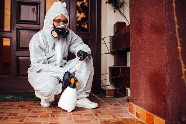 Attic and Crawl Space Rodent Treatment in Teays Valley