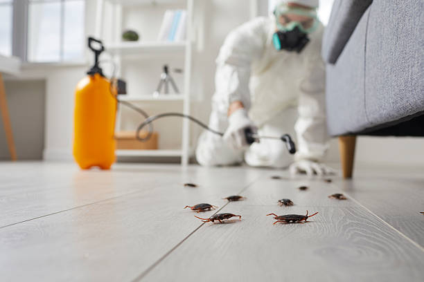 Commercial Rodent Management in Teays Valley